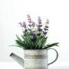 15cm Lavender Silk Flower  in Metal Watering Can 3 15cm Lavender Silk Flower  in Metal Watering Can