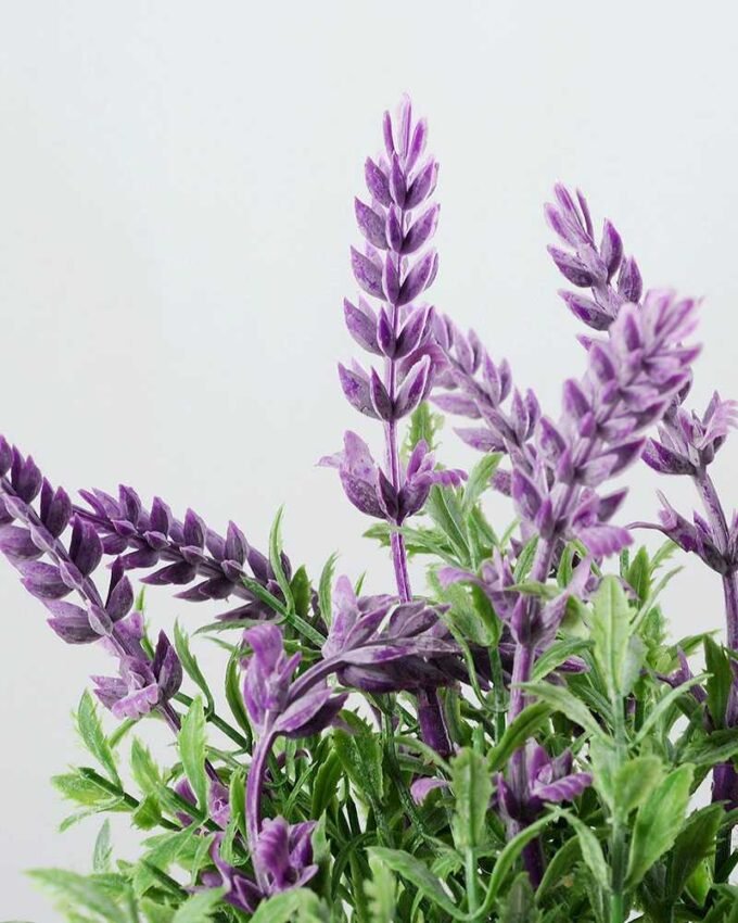 7 Heads Lavender Silk Flower  in Paper Pulp pot