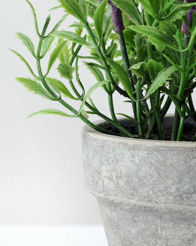 7 Heads Lavender Silk Flower  in Paper Pulp pot