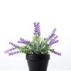 19cm Lavender Silk Flower  in Plastic pot 1 19cm Lavender Silk Flower  in Plastic pot
