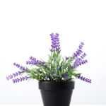 19cm Lavender Silk Flower  in Plastic pot