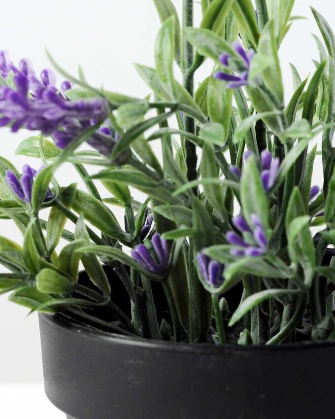 19cm Lavender Silk Flower  in Plastic pot 3 19cm Lavender Silk Flower  in Plastic pot