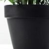19cm Lavender Silk Flower  in Plastic pot 4 19cm Lavender Silk Flower  in Plastic pot