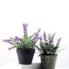 19cm Lavender Silk Flower  in Plastic pot 5 19cm Lavender Silk Flower  in Plastic pot