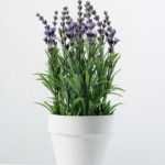 25cm Lavender Silk Flower  in Paper pulp pot,