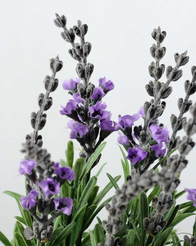 25cm Lavender Silk Flower  in Paper pulp pot,