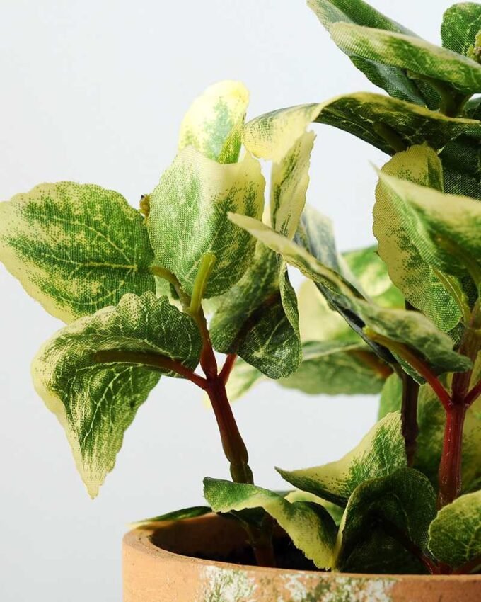 15cm Leaves Artificial Plant  in Paper Pulp pot