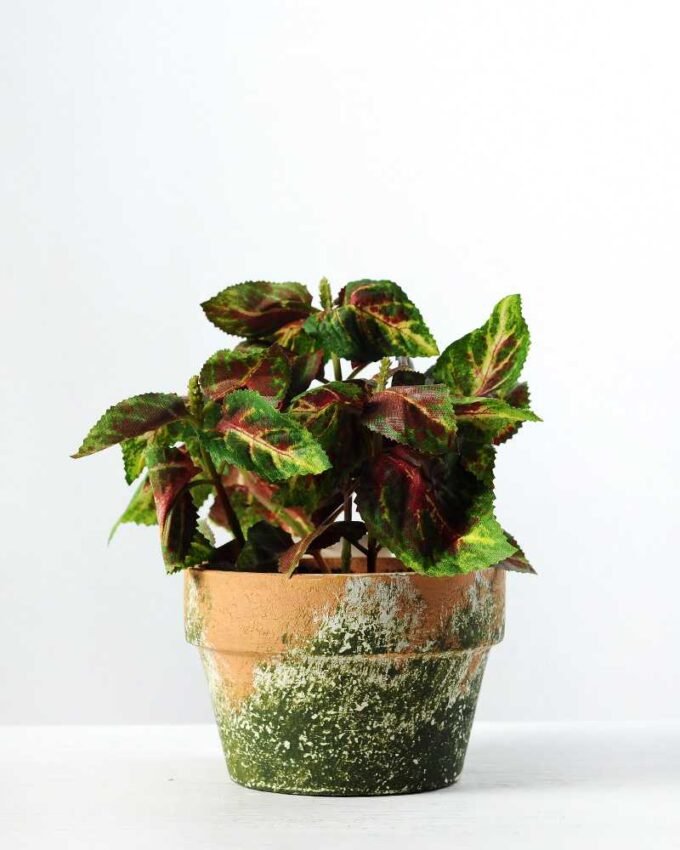 15cm Leaves Artificial Plant  in Paper Pulp pot