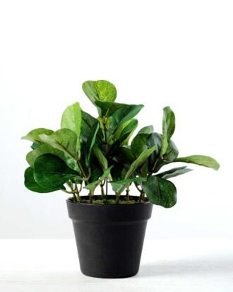15cm Leaves Artificial Plant  in Plastic pot Potted Flowers&Plants YeahFlower is one of Chinese leading OEM manufacturers and exporters , supplying the silk flowers, wholesale artificial trees 15cm Leaves Artificial Plant  in Plastic pot