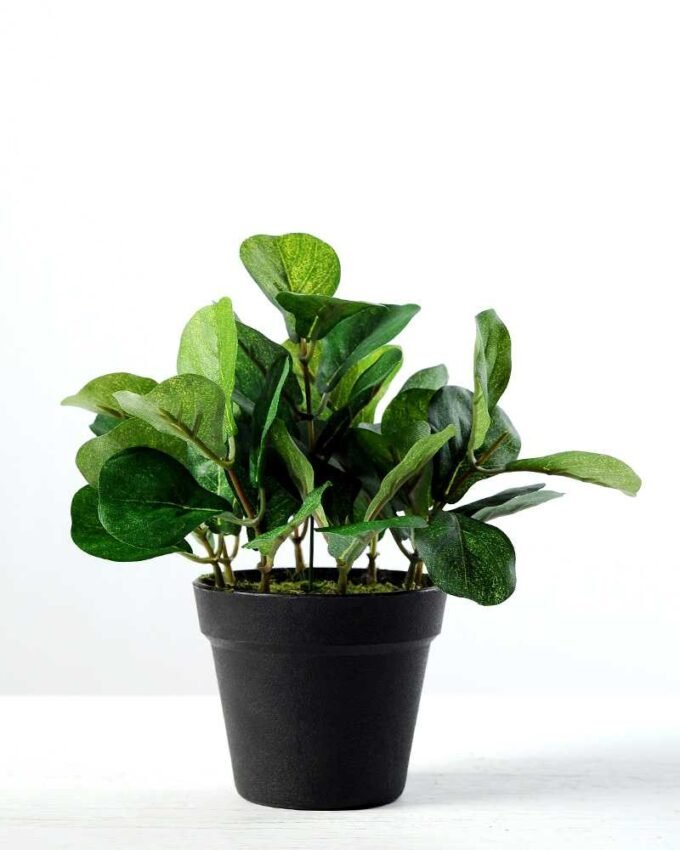 15cm Leaves Artificial Plant  in Plastic pot 1 15cm Leaves Artificial Plant  in Plastic pot