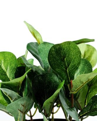 15cm Leaves Artificial Plant  in Plastic pot Potted Flowers&Plants YeahFlower is one of Chinese leading OEM manufacturers and exporters , supplying the silk flowers, wholesale artificial trees 15cm Leaves Artificial Plant  in Plastic pot