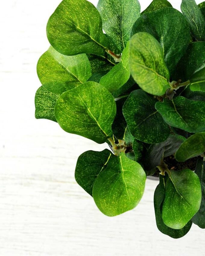 15cm Leaves Artificial Plant  in Plastic pot 3 15cm Leaves Artificial Plant  in Plastic pot