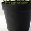 15cm Leaves Artificial Plant  in Plastic pot 4 15cm Leaves Artificial Plant  in Plastic pot