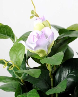 27cm Magnolia Silk Flower  in Paper Pulp pot