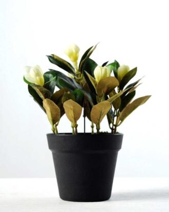 15cm Magnolia Artificial Plant  in Plastic pot