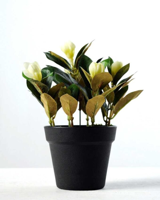 15cm Magnolia Artificial Plant  in Plastic pot 1 15cm Magnolia Artificial Plant  in Plastic pot