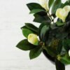 15cm Magnolia Artificial Plant  in Plastic pot 3 15cm Magnolia Artificial Plant  in Plastic pot