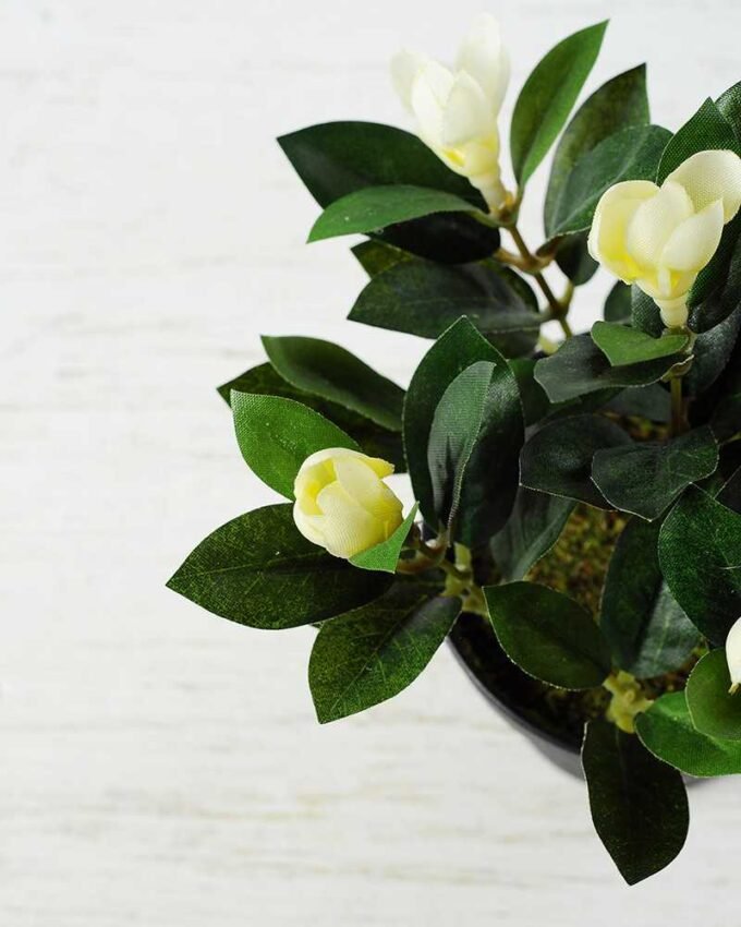 15cm Magnolia Artificial Plant  in Plastic pot 3 15cm Magnolia Artificial Plant  in Plastic pot