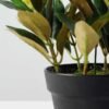 15cm Magnolia Artificial Plant  in Plastic pot 4 15cm Magnolia Artificial Plant  in Plastic pot