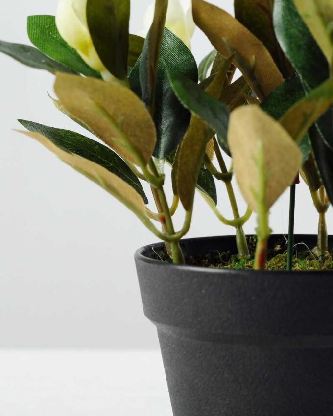 15cm Magnolia Artificial Plant  in Plastic pot 4 15cm Magnolia Artificial Plant  in Plastic pot