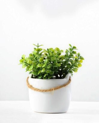 10cm Mimosa Artificial Plant  in Ceramic pot Potted Flowers&Plants YeahFlower is one of Chinese leading OEM manufacturers and exporters , supplying the silk flowers, wholesale artificial trees 10cm Mimosa Artificial Plant  in Ceramic pot
