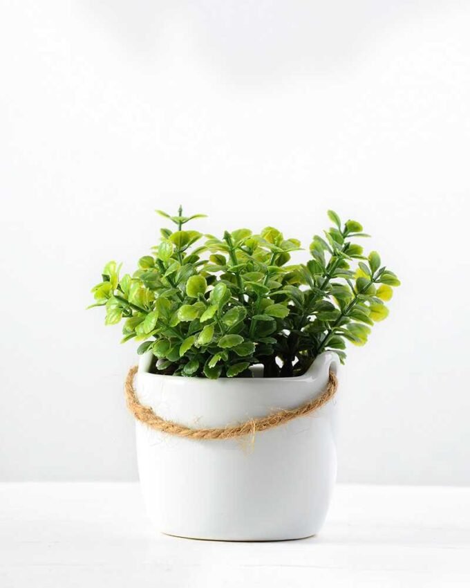10cm Mimosa Artificial Plant  in Ceramic pot 1 10cm Mimosa Artificial Plant  in Ceramic pot