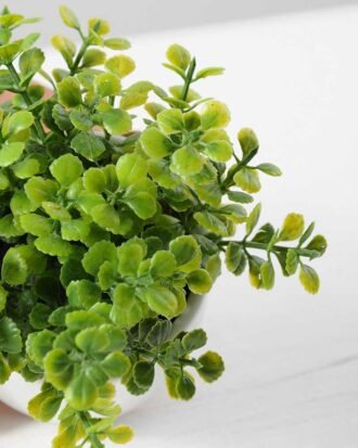 10cm Mimosa Artificial Plant  in Ceramic pot Potted Flowers&Plants YeahFlower is one of Chinese leading OEM manufacturers and exporters , supplying the silk flowers, wholesale artificial trees 10cm Mimosa Artificial Plant  in Ceramic pot