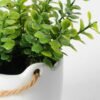 10cm Mimosa Artificial Plant  in Ceramic pot 3 10cm Mimosa Artificial Plant  in Ceramic pot