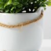 10cm Mimosa Artificial Plant  in Ceramic pot 4 10cm Mimosa Artificial Plant  in Ceramic pot