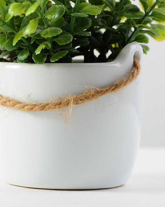 10cm Mimosa Artificial Plant  in Ceramic pot 4 10cm Mimosa Artificial Plant  in Ceramic pot