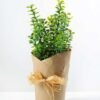 18cm Mimosa Artificial Plant  in Paper wrap pot