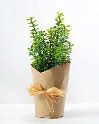 18cm Mimosa Artificial Plant  in Paper wrap pot
