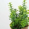 18cm Mimosa Artificial Plant  in Paper wrap pot