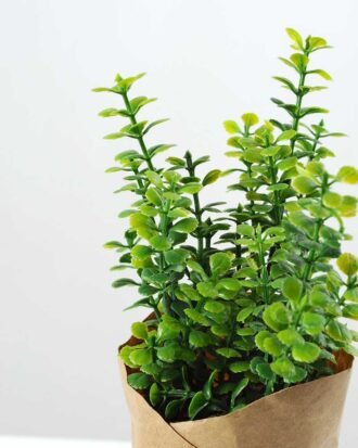 18cm Mimosa Artificial Plant  in Paper wrap pot