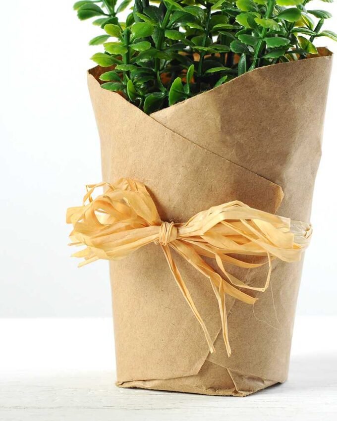 18cm Mimosa Artificial Plant  in Paper wrap pot