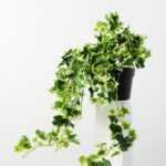 24cm Mini Ivy Artificial Plant  in Plastic pot