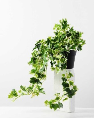 24cm Mini Ivy Artificial Plant  in Plastic pot Potted Flowers&Plants YeahFlower is one of Chinese leading OEM manufacturers and exporters , supplying the silk flowers, wholesale artificial trees 24cm Mini Ivy Artificial Plant  in Plastic pot