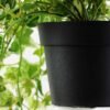 24cm Mini Ivy Artificial Plant  in Plastic pot 3 24cm Mini Ivy Artificial Plant  in Plastic pot