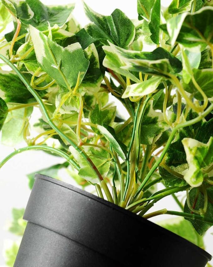 24cm Mini Ivy Artificial Plant  in Plastic pot 4 24cm Mini Ivy Artificial Plant  in Plastic pot