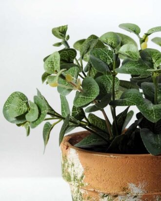 15cm Mini Leaves Artificial Plant  in Paper Pulp pot