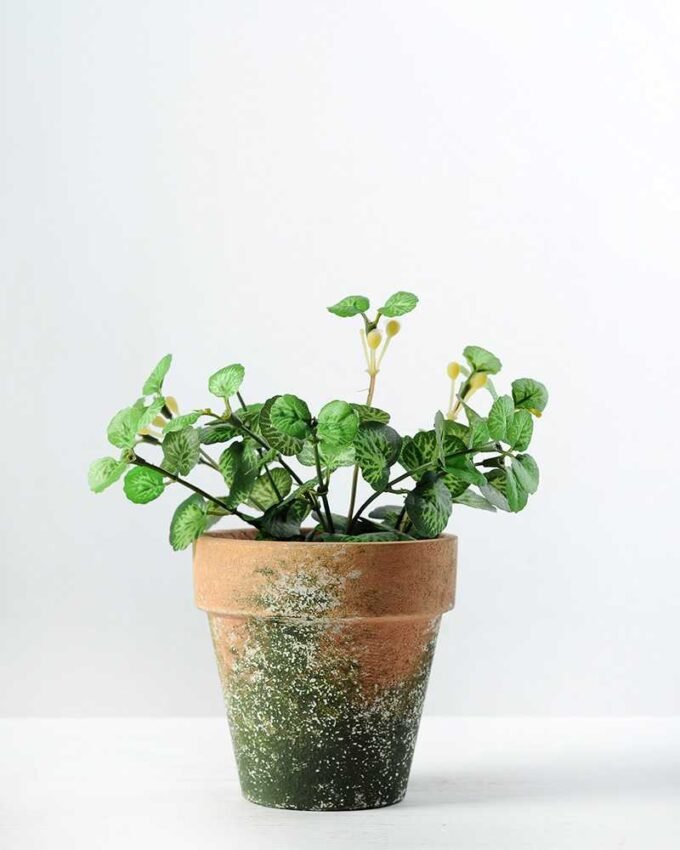 15cm Mini Leaves Artificial Plant  in Paper Pulp pot