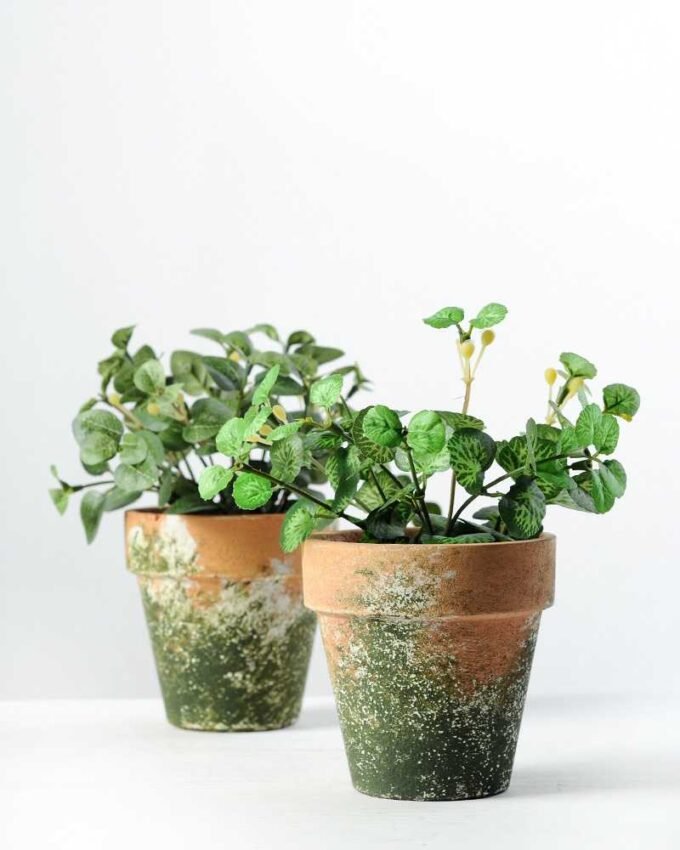 15cm Mini Leaves Artificial Plant  in Paper Pulp pot