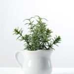 15cm Mini Leaves Artificial Plant  in Ceramic pot
