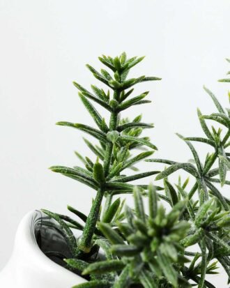 15cm Mini Leaves Artificial Plant  in Ceramic pot Potted Flowers&Plants YeahFlower is one of Chinese leading OEM manufacturers and exporters , supplying the silk flowers, wholesale artificial trees 15cm Mini Leaves Artificial Plant  in Ceramic pot