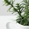 15cm Mini Leaves Artificial Plant  in Ceramic pot