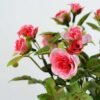 19cm Mini Rose And Berry Silk Flower  in Ceramic jug 2 19cm Mini Rose And Berry Silk Flower  in Ceramic jug