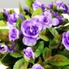 13cm Mini Rose And Berry Silk Flower  in Metal Pot 2 13cm Mini Rose And Berry Silk Flower  in Metal Pot