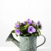 13cm Mini Rose And Berry Silk Flower  in Metal Pot 5 13cm Mini Rose And Berry Silk Flower  in Metal Pot