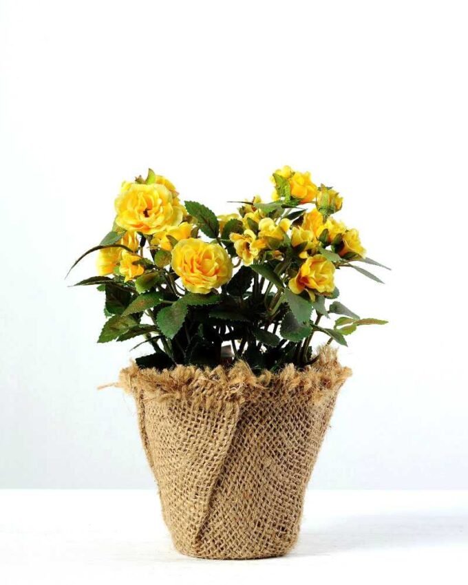 18cm Mini Rose Silk Flower  in Paper Pulp pot