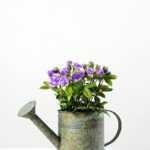 Reali Mini Rose Silk Flower  in Metal Pot